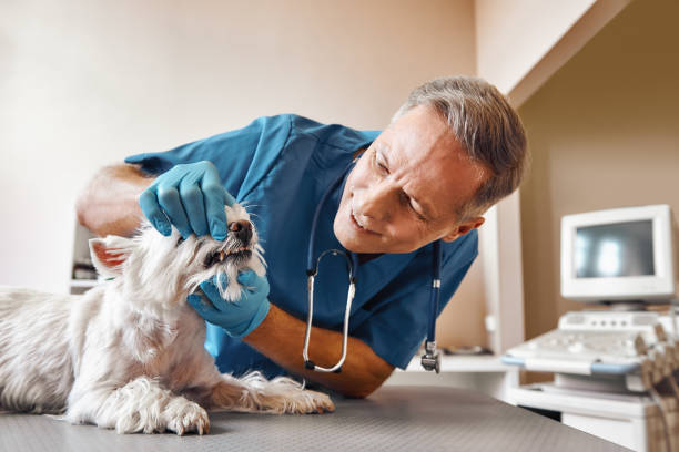 Best Emergency Tooth Extraction in Owensville, IN